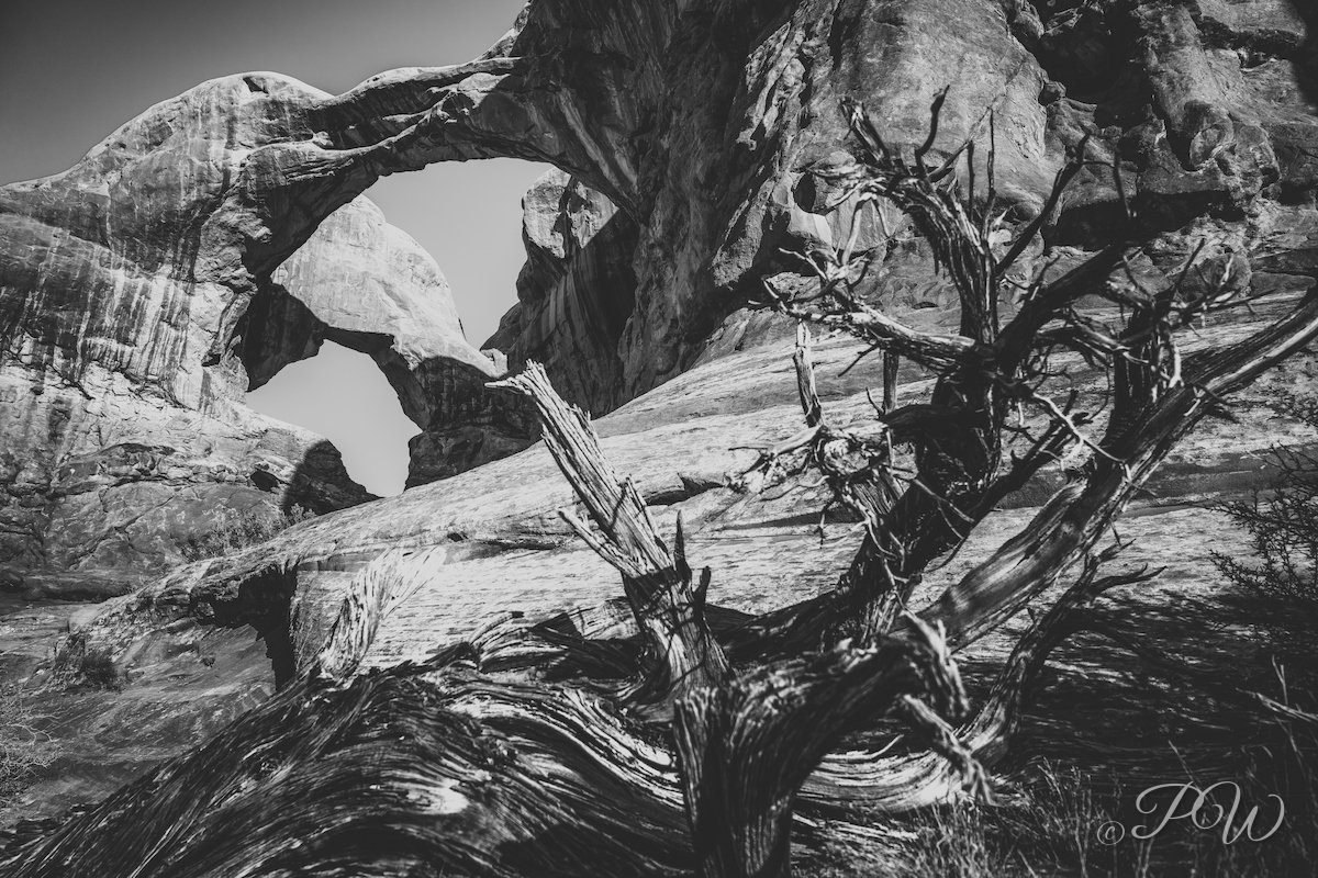 Partition Arch in Arches National Park, Utah (black and white)