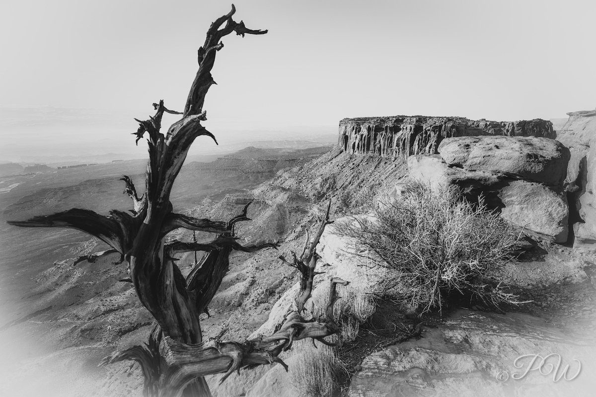 Grand View Point Overlook, Island in the Sky, Canyonlands National Park, Utah (black and white)